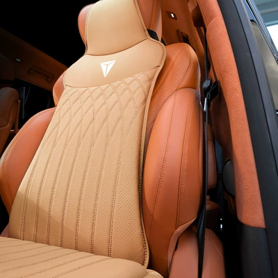 Pillow Car Supplies, Waist support - type-b-amber-brown-dark-blue-backrest-one-piece