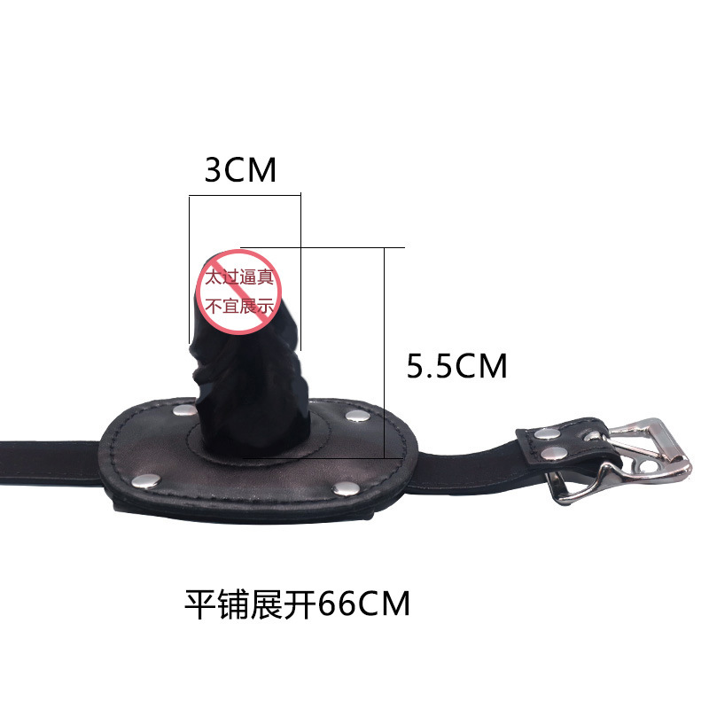 阳具口塞矢量图2