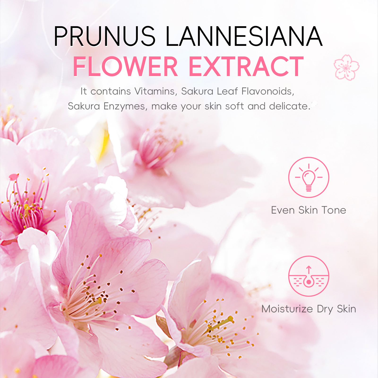 Cross-border LAIKOU Japanese Cherry Blossom Armpit Cream 30g Hydrating, Moisturizing and brightening Skin tone manufacturer wholesale supply undefined