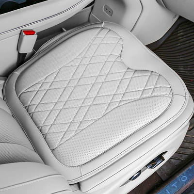 Headrests, Lumbar Cushions, Dmi New: Waist support - byd-xia-seat-cushion-1-tan-brown-rice-unlabeled