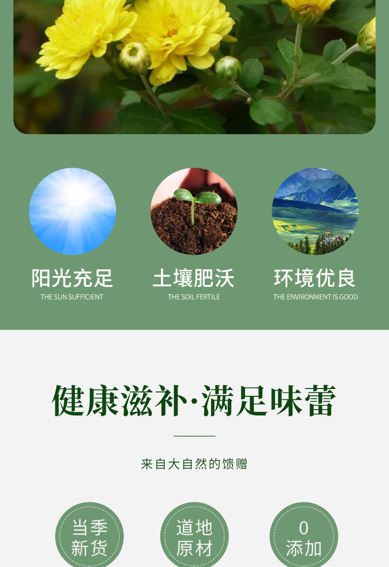 Huang Ju Hua Chrysanthemum Tea Loose Dried Flowers 500g Bag Natural Sun Dried for Brewing quality and texture