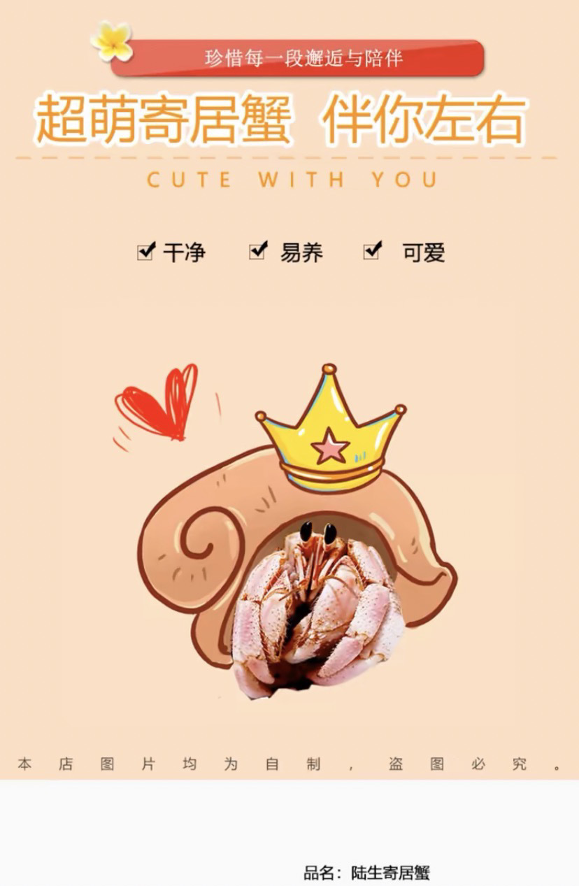 15f3633d-e89f-4373-81c4-3ae0bedfcfee.jpe