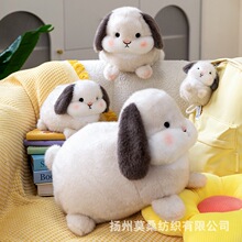�ɐ��������������޹��Д[��ë�q��������żС�̹���؈��ͯ�Y��