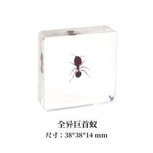 ���ƃ�Ƕ�挍���x�˱���֬��ˇƷץ�ܵ��߼�悔[���ղ�ˇ�gƷ�Ҿ�