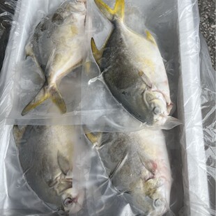 �V�|���|���� ���x������K�~������i�r) ���r�Ƀ� ��ͥ���