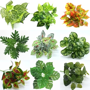 (10֧)����С��������ֲ�� ���ϼٻ� ֲ���� �^�z�ָ��~ ����