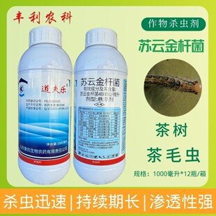 �����K녽�U������x������������x�����xС�˶���z�x���