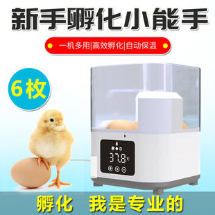 Incubator small household automatic incubator intelligent incubator mini incubator small egg manufacturers wholesale
