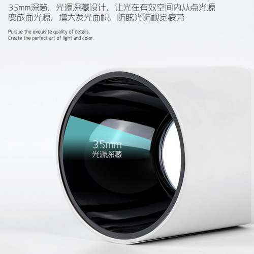 LED Round Surface-Mounted Downlight Housing Flush Mount Ceiling Lamp for Living Room COB Tube Light for Bedroom Non-Intelligent without Main Light Lighting Lamp