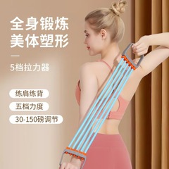 胸部拡張五管式トレーニング器具 30-150ポンド 男女兼用 家庭用 多機能トレーニング 調整可能 胸筋・腕力トレーニング フィットネス