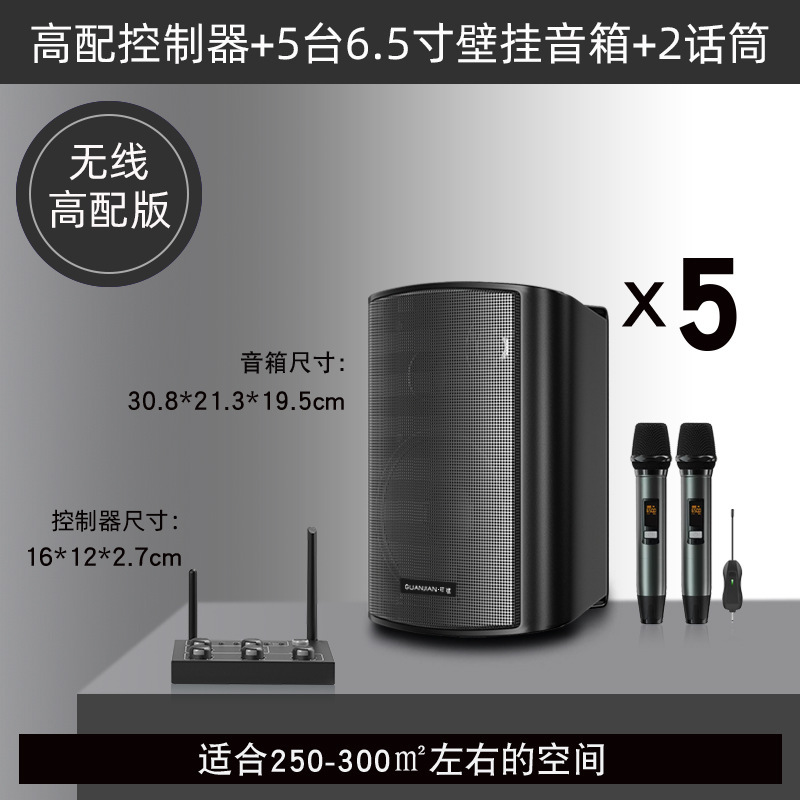 壁挂无线音响店铺舞蹈教室餐厅健身房会议室商用音箱组合套装|undefined