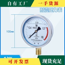 YN100 1.6MPa 耐震压力表 抗震压力表 防振压力表  苏州轩胜仪表