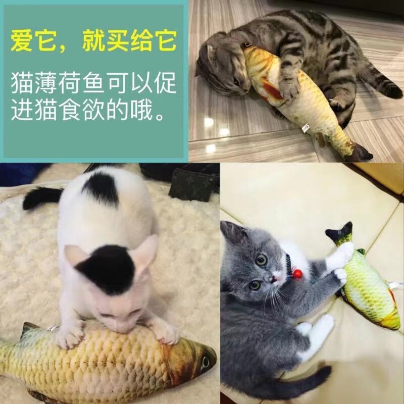 Simulated Crucian Carp Tiktok Trending Cat Toy, Cat Chewing Toy for Entertainment, Self-Entertainment, Interactive Chewing, Wholesale Cat Toys Simulated Crucian Carp Tiktok Trending Cat Toy, Cat Chewing Toy for Entertainment, Self-Entertainment, Interactive Chewing, Wholesale Cat Toys