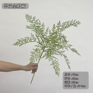 ��֧��������ާ�~�Gɫ���ާ�Gֲ���ϲ��|������廨�쾰���þGֲ
