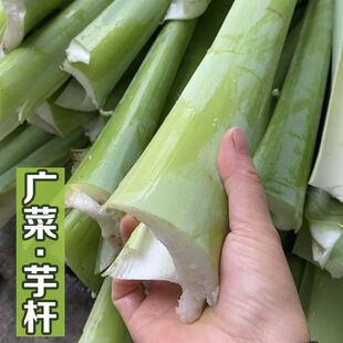 ���ڏV����ɹ�����ɗU�����߲�������r���ԷN���