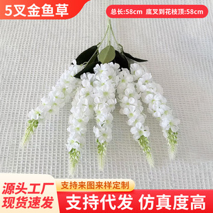 5����~�ݷ���ٻ��ֹ�������c���������b��w����L���ӿ羳