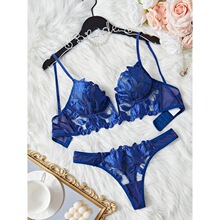 N 69372 Transparent Lingerie Lace Bra Set ͸����˿����