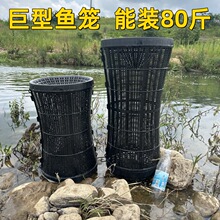 �����~�\�S�X�\�~�\���r�\���q�\�O���M�\�~�W�з�\��̖�\���~