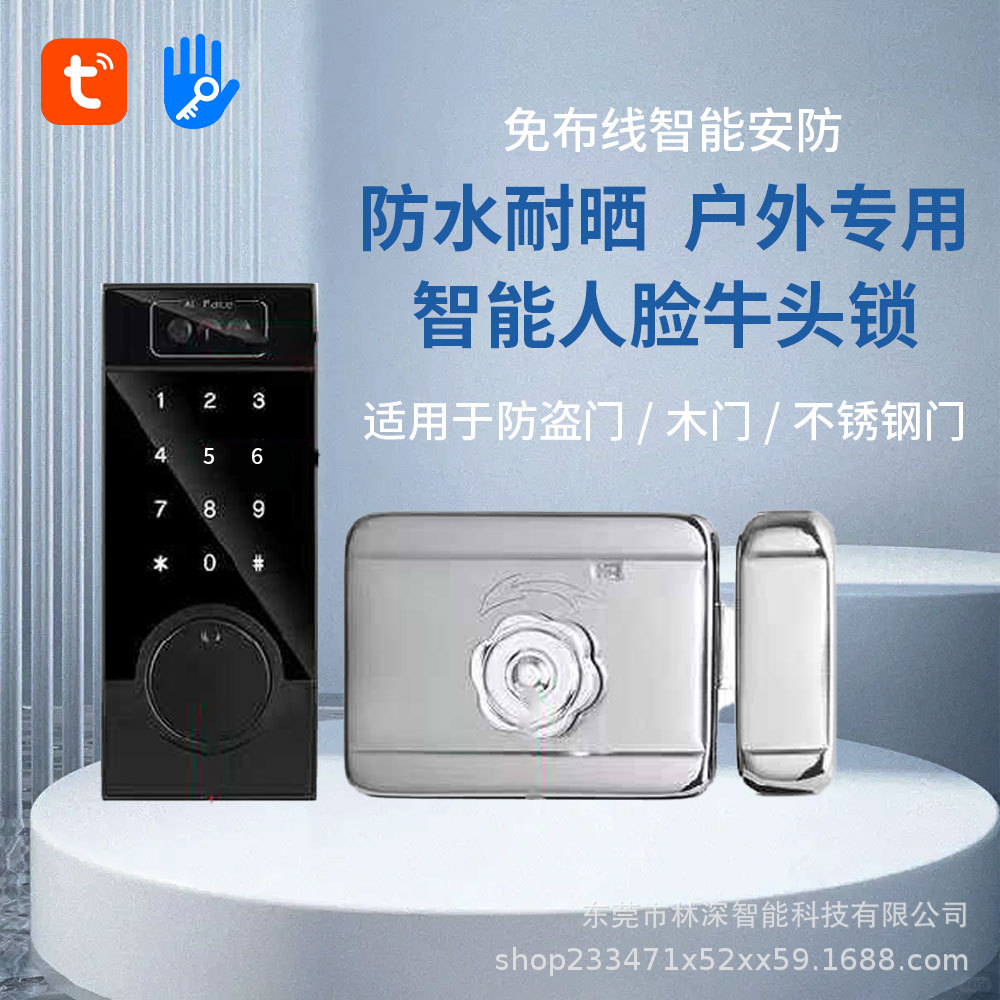 Outdoor Vintage Iron Door Waterproof Graffiti-Proof Smart Remote Password Bull Head Fingerprint Lock Courtyard Door Double-Sided Smart Door Lock