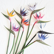 �߷��� ܛ�z�����B��֧�Q���m ����ֲ������҃���ܛ�b�쾰�b�