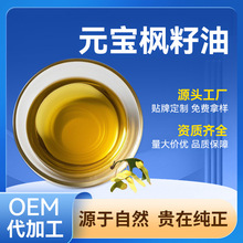 元宝枫籽油≥6.5神经酸源头工厂直供食品原料元宝枫油粉神经酸油