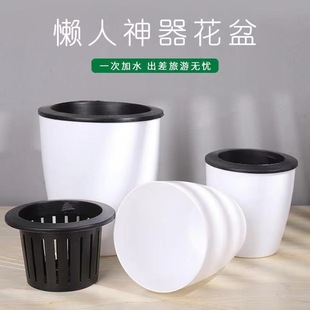 Automatic Water-Absorbing Lazy Pot Factory Direct Sales Resin Large Creative Pothos Potted Hydroponic Plastic Flower Pot Wholesale