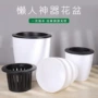 水培大号吸水自动花盆