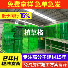 工厂直供塑料植草格 停车位草坪砖小区消防通道绿化护坡用植草格