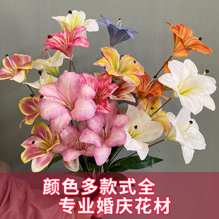 ���滨3�^��ݰٺ��ָаٺ���피t��c��Y�b�����Ī�λ��@�쾰