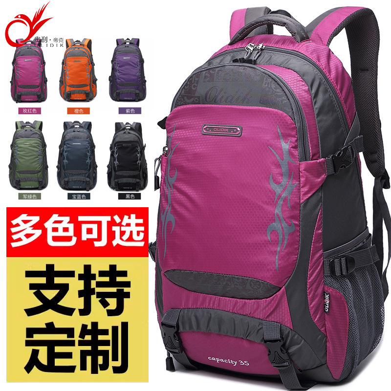 Mountaineering Bag Travel Backpack Outdoor Hiking Multifunctional Men's and Women's Water-repellent Large Capacity Travel Backpack Customized
