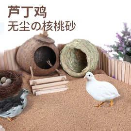 其他小宠用品;鸟类;喂食器