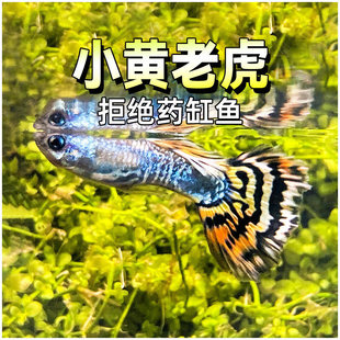 �S�ϻ����ϻ���ȸ�~���־������Tˮ�ݸ�С���ٽz�Rِ�˻��y�Ꭷ�~