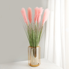 �̈��������b��[�����^�쾰 ��֧�JȔ�Gֲ�JȔ�� �����JȔ�ٻ�