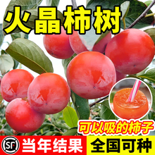 ������Ә����ϱ���ͥԺ�����ش����������Լ޽Ӵ���������Y��