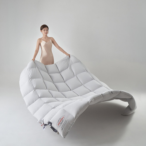 Factory Direct Sales 95% White Goose Down Winter Quilt with Hanging Goose Down Quilt High-End Goose Down Spring and Autumn Quilt Thick Down Comforter