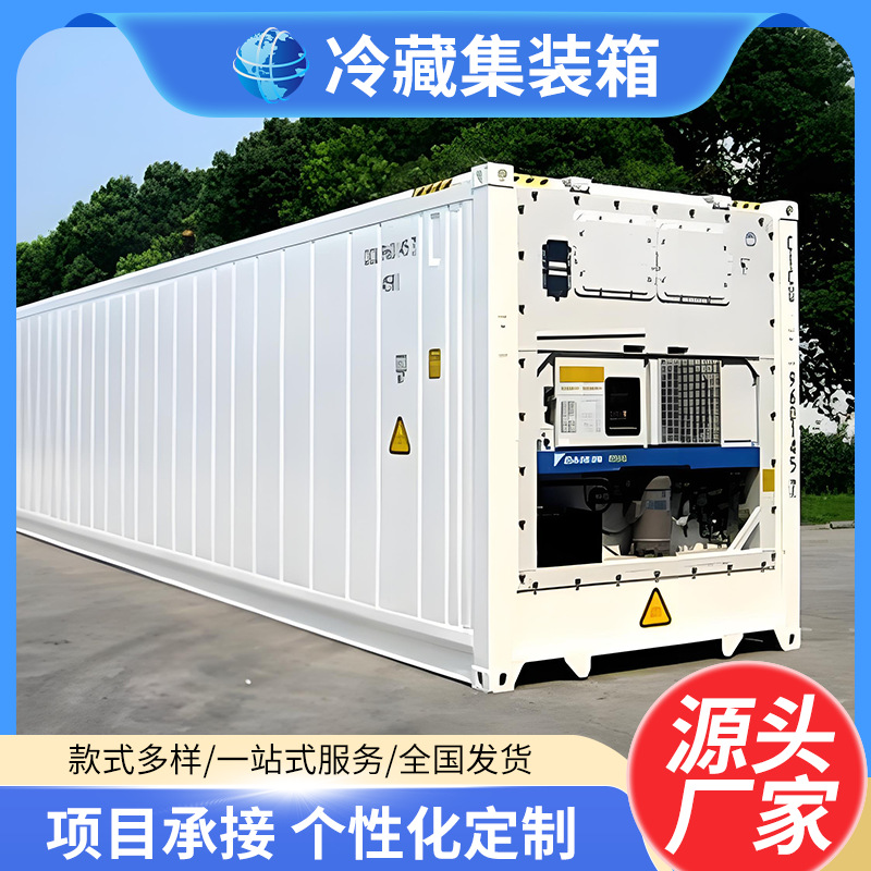 20/40尺冷藏集装箱水果保鲜肉类冷冻SOC箱移动冷库随吊随走