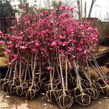 ���m������t���S�ώ������ļ��Nֲ�׻���ͺ����ܾGֲͥԺ���