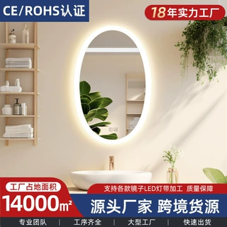 定制跨境专供椭圆形LED浴室镜化妆镜壁挂镜触摸连蓝牙除雾浴室镜