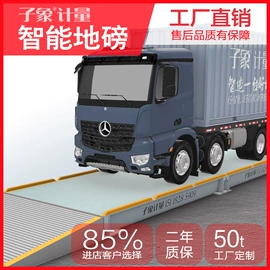 地磅;电子秤;其他衡器