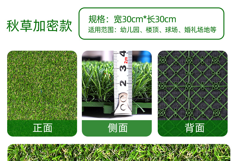 彩色草皮详情_09.jpg