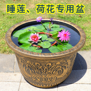 �B˯ɏ�ɻ��ش�̖���ϼӺ��͕����ɏź�~�X��ˮ����ɏ�o�׷Nֲ