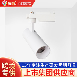 Norder cross-border track light LED hotel light COB spotlight open-mounted store track Light exhibition window hanging rod gathering