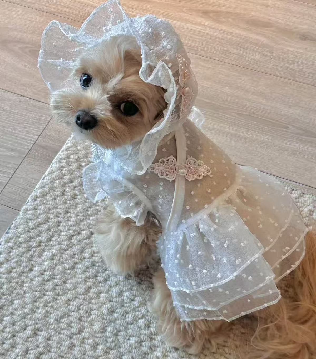 Spetsig prinsessklänning för hundar vår sommar husdjurskläder_voghion.com