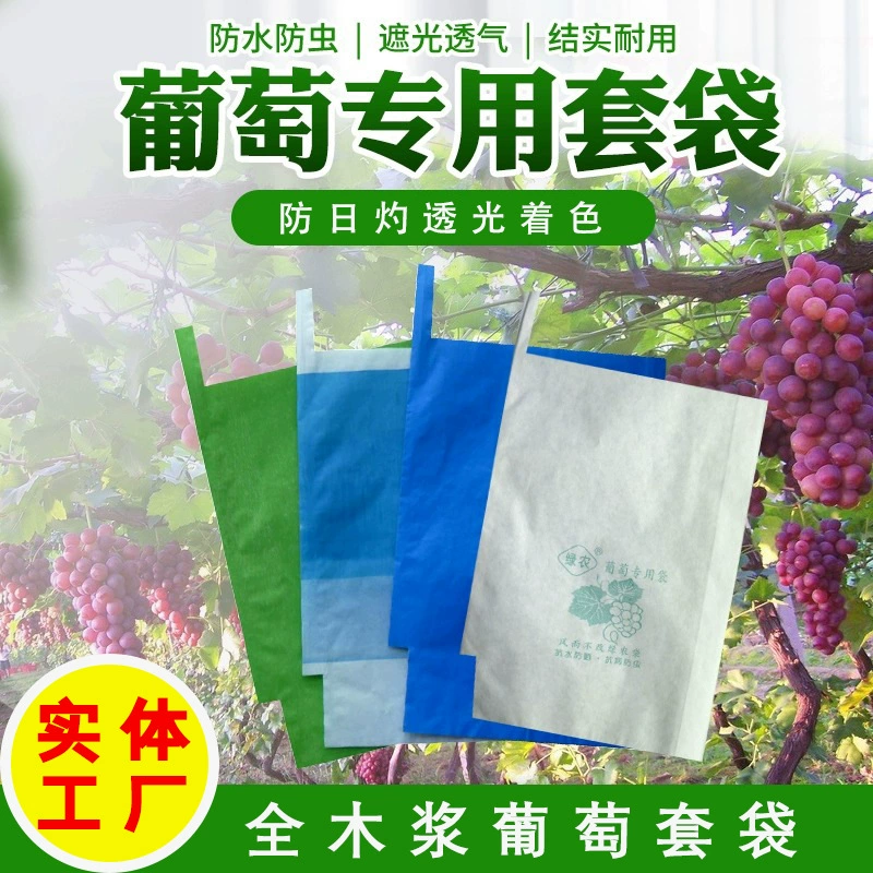 Оптовые однослойные и двухслойные композитные бумажные пакеты для фруктов из чистой древесной целлюлозы для защиты от птиц, от солнечных ожогов и для защиты плодов от воздействия солнечного света.
