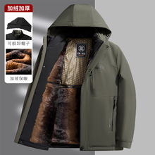 ��ʿ�ӽq�Ӻ����¶�����Óжñ��ů�ɿ˷��ְ��bʯīϩ���\����