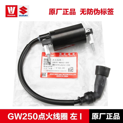 GW DL250 DR300 ignition | Alovlandırıcı (Vozduşka/İqniter) - gw250-ignition-coil-left-i