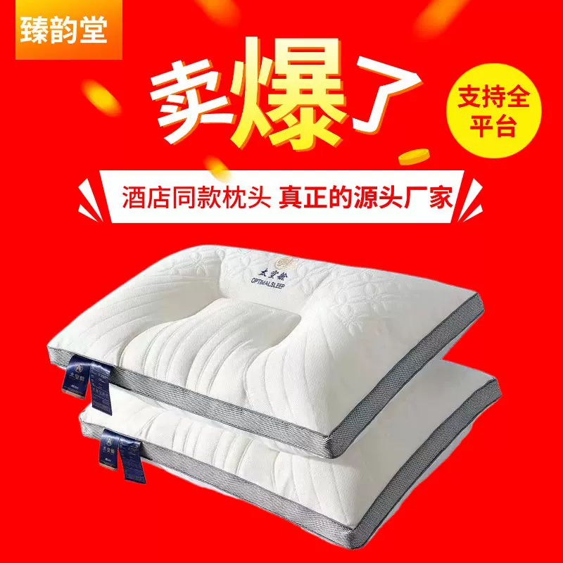 外贸跨境水立方spa枕护颈枕头可机洗酒店宾馆家用成人学生枕芯厂