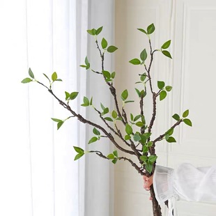 ���滨�G�~�l��֦С���¿�֦�ٗl�ҾӲ廨�b[���������ָл���