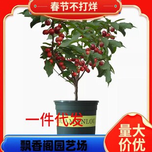 ���_˹8̖���ҹ�������˙��Ҙ��箔��Y�� ��ɫ����܇���Ӵ����