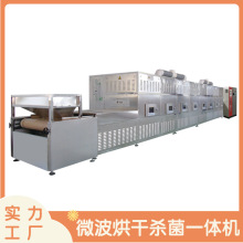 微波核桃仁杀菌机瓜子烤熟设备隧道式坚果炒货机厂家隧道式杀菌机